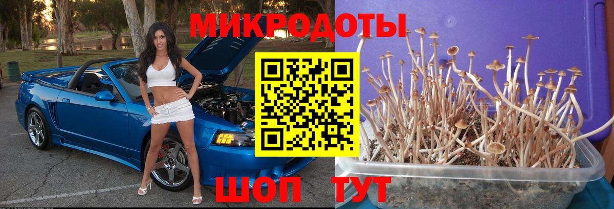 Псилоцибиновые грибы прущие грибы  купить наркотик  Ханты-Мансийск  Вход с VPN  Псилоцибиновые грибы мухоморы 